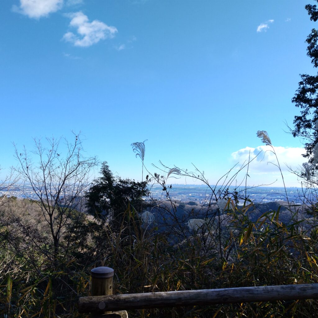 これは私が実際に行った、稲荷山コースの展望台からの眺めの写真です。